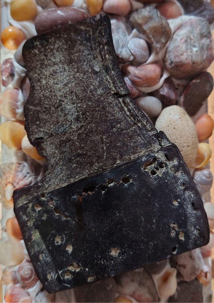 a damp fragment of a leather sole, with a small rusty nail still in in it